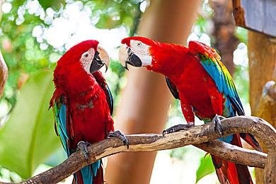 《使命召唤：黑色行动6》公开测试版PC要求